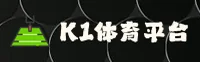 K1体育(K1TY)官方网站 - 官方正版入口